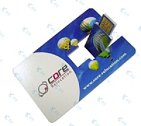 南非core relocation家居公司定制U盘