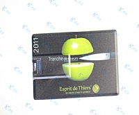 澳大利亚Esprit de Thiers名片优盘定做